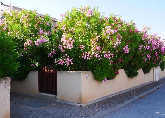 Casa de Férias Lagon 173 - Maison De - 3 Gruissan
