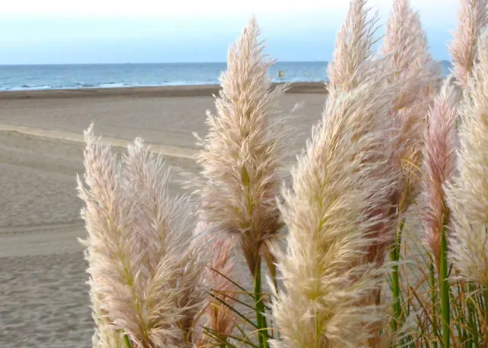 Lagon 173 - Maison De - 3